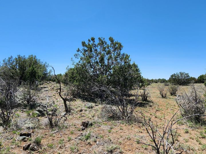094v N Headwaters Rd, Chino Valley, AZ | Under 5 Acres. Photo 11 of 32