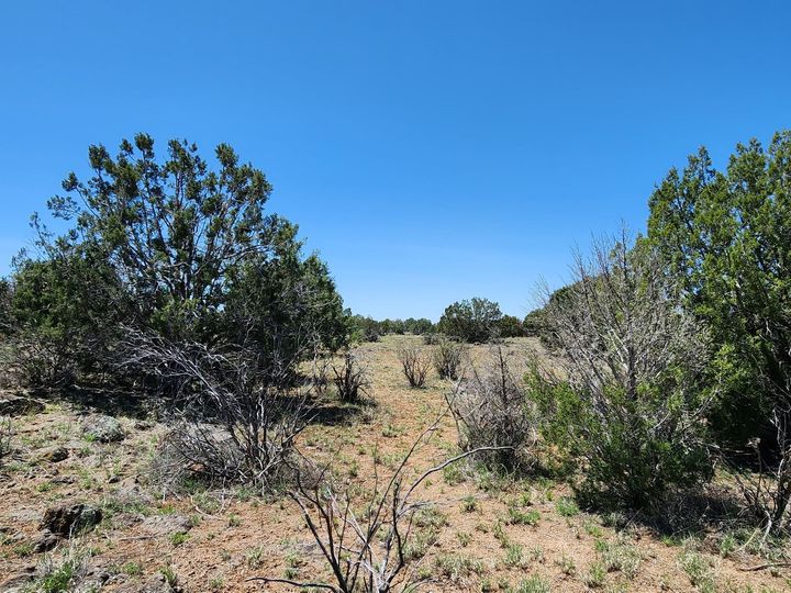 094v N Headwaters Rd, Chino Valley, AZ | Under 5 Acres. Photo 12 of 32