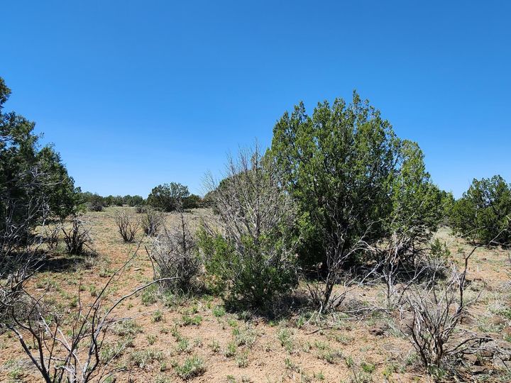 094v N Headwaters Rd, Chino Valley, AZ | Under 5 Acres. Photo 13 of 32