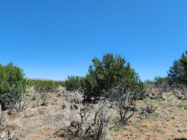 094v N Headwaters Rd, Chino Valley, AZ | Under 5 Acres. Photo 7 of 32