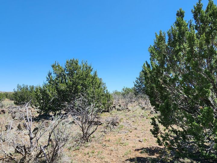 094v N Headwaters Rd, Chino Valley, AZ | Under 5 Acres. Photo 8 of 32
