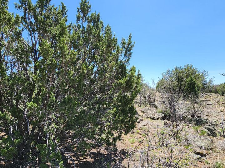 094v N Headwaters Rd, Chino Valley, AZ | Under 5 Acres. Photo 9 of 32