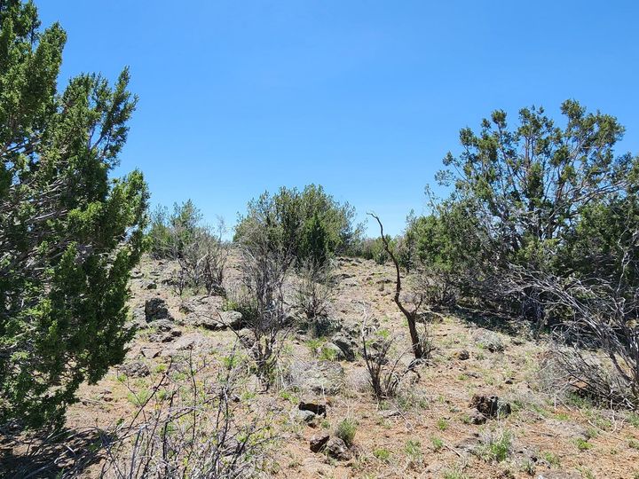 094v N Headwaters Rd, Chino Valley, AZ | Under 5 Acres. Photo 10 of 32