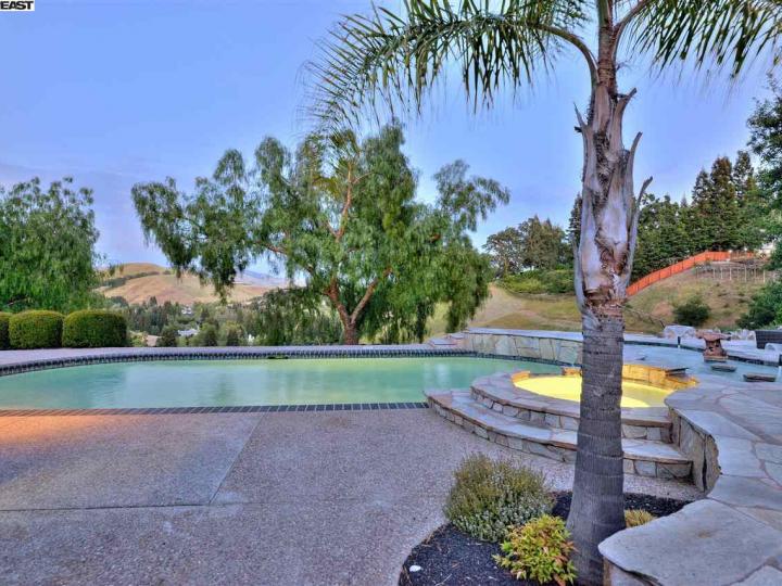 1131 Eagle Nest Ct, Danville, CA | Discovery Bay Country Club. Photo 30 of 30