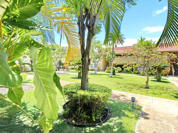 Maui Gardens condo #D-206. Photo 22 of 31