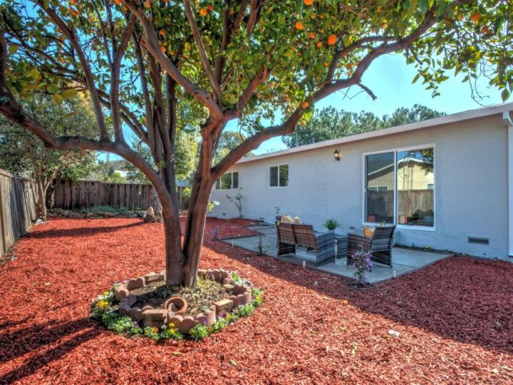 1535 Braly Ave, Milpitas, CA | . Photo 17 of 19