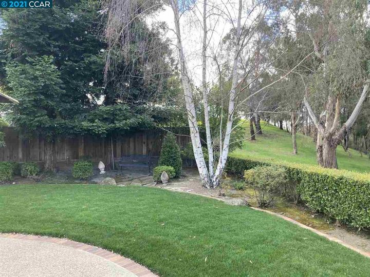 223 Cypress Hills Ct, Danville, CA | Crow Canyon C.c.. Photo 8 of 15