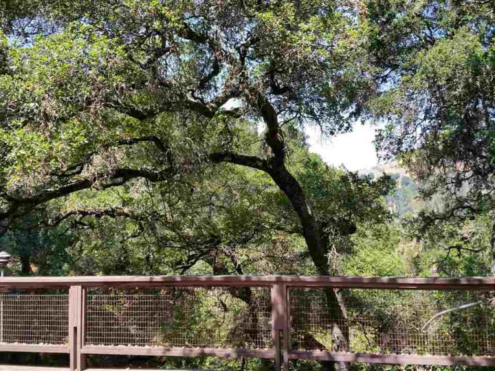 30 Oak Dr, Orinda, CA | Moraga Meadows. Photo 4 of 8