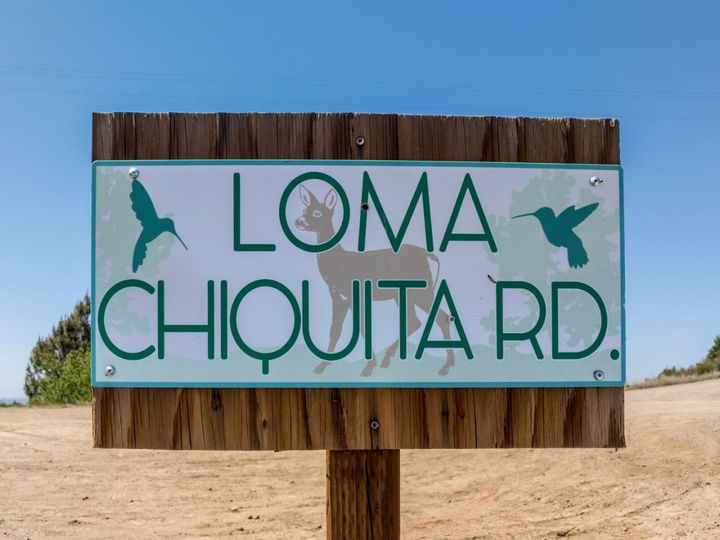 33001 Loma Chiquita Rd Los Gatos CA. Photo 4 of 10