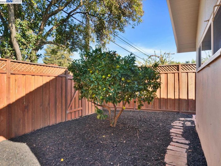 4113 Forestview Ave, Concord, CA | Forest Park. Photo 31 of 33