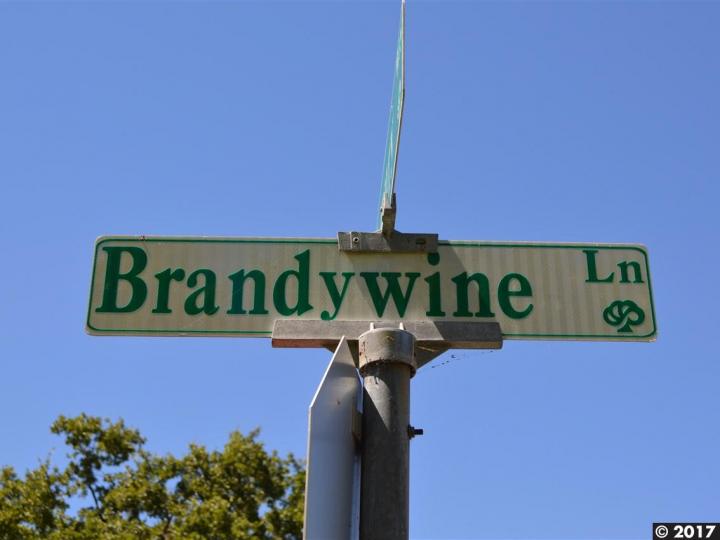416 Brandywine Ln, Pleasant Hill, CA, 94523 Townhouse. Photo 21 of 23