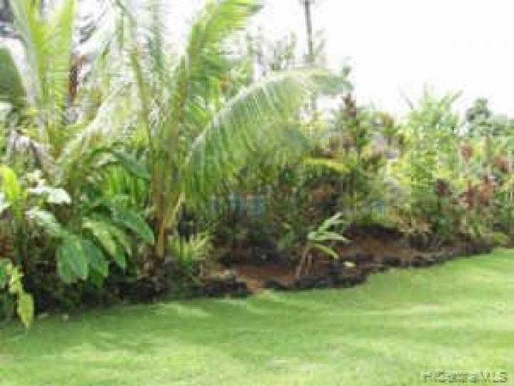 4462 Imua Pl Kilauea HI Home. Photo 10 of 10