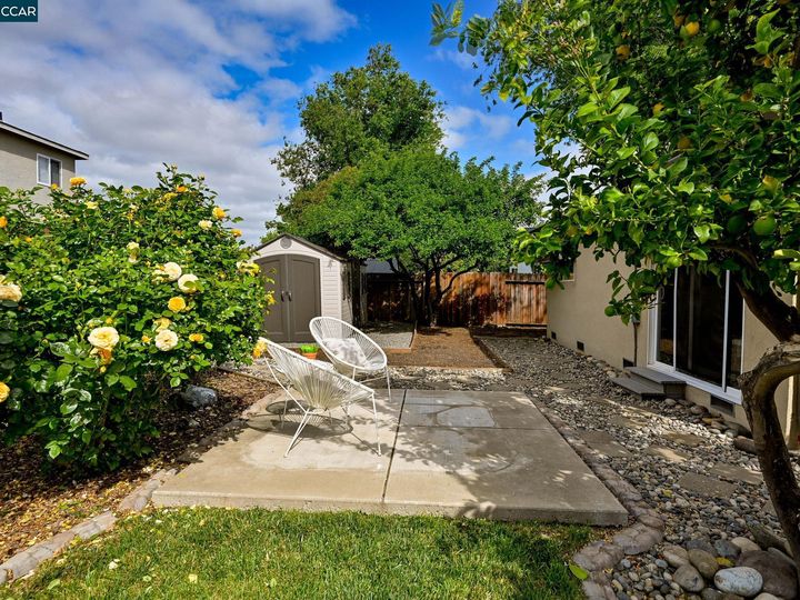 5110 Academy Rd, Concord, CA | Clayton Valley. Photo 25 of 30