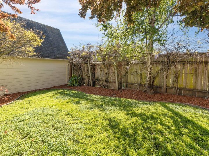 618 Curtis St, Albany, CA | Thousand Oaks. Photo 41 of 55