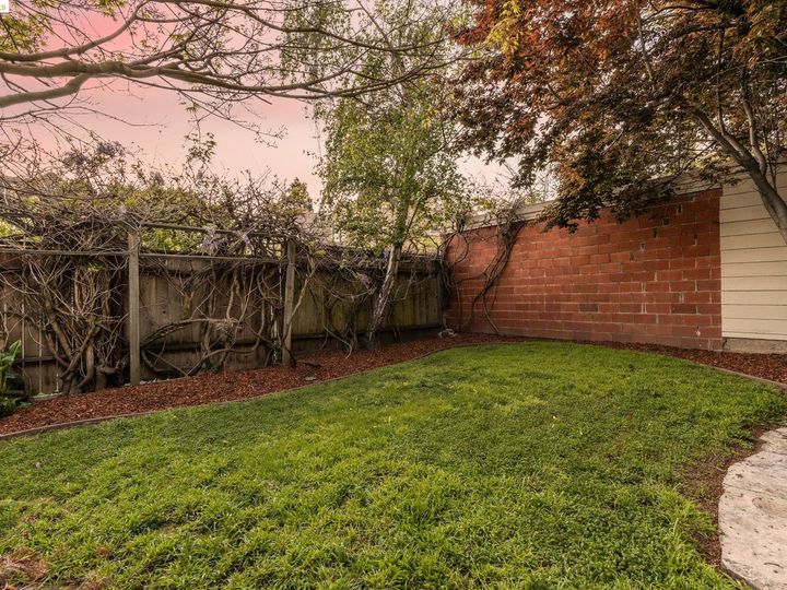 618 Curtis St, Albany, CA | Thousand Oaks. Photo 51 of 55