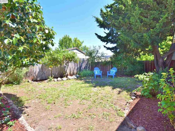 636 Maple Ct, San Leandro, CA | Dutton Orchard. Photo 26 of 28