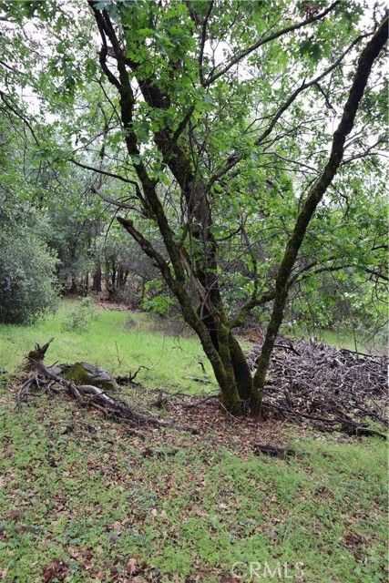 Lot 0030 Bandit Ln Oroville CA. Photo 4 of 11