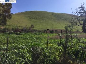1235 Deer Rd, Fremont, CA | Niles Canyon. Photo 4 of 25