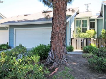 2378 Cheshire Pl, Old San Leandro, CA